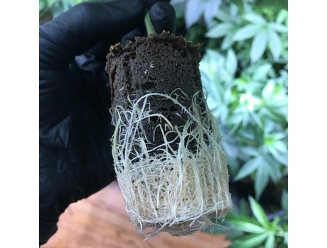 Root Riot Growth Technology Великобритания купить в Украине фото